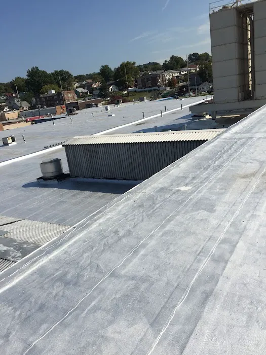Pro Quality 1 Roofing Picture 8