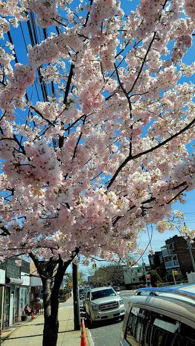 Morelli Contracting Co Inc Picture 5