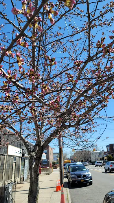 Morelli Contracting Co Inc Picture 1