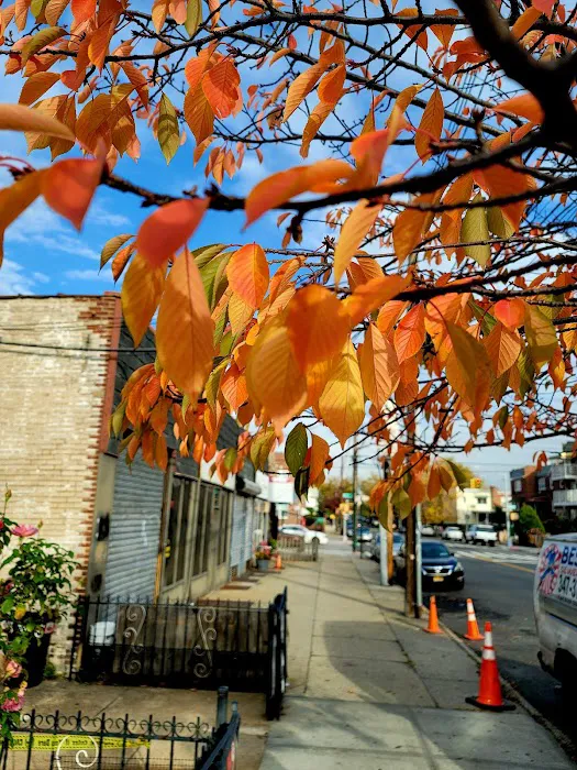 Morelli Contracting Co Inc Picture 2