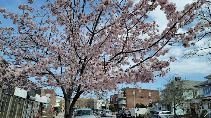 Morelli Contracting Co Inc Picture 4