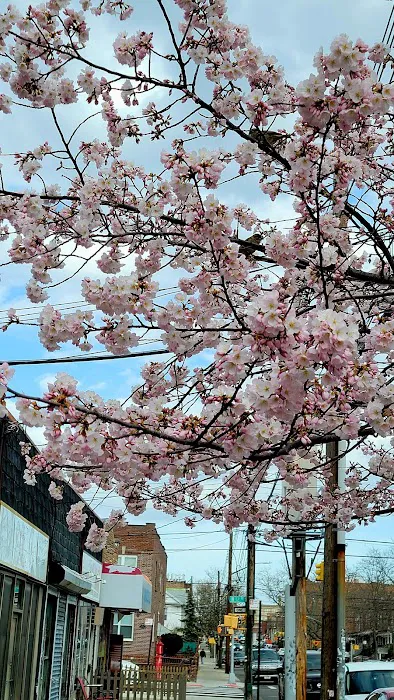 Morelli Contracting Co Inc Picture 3