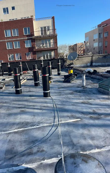 P. Lopez Construction & Roofing Picture 5