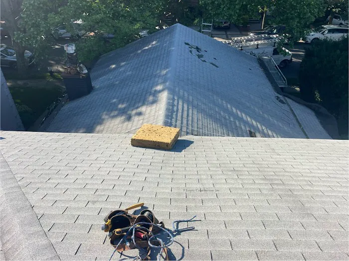 P. Lopez Construction & Roofing Picture 2