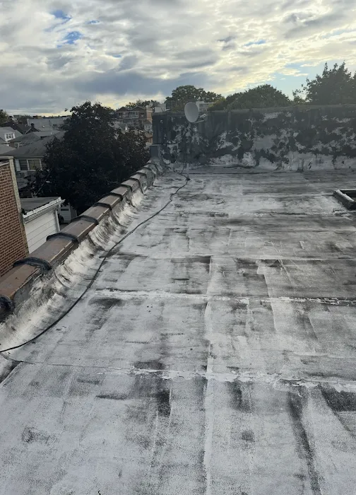 Thomas James Roofing and Waterproofing Picture 7