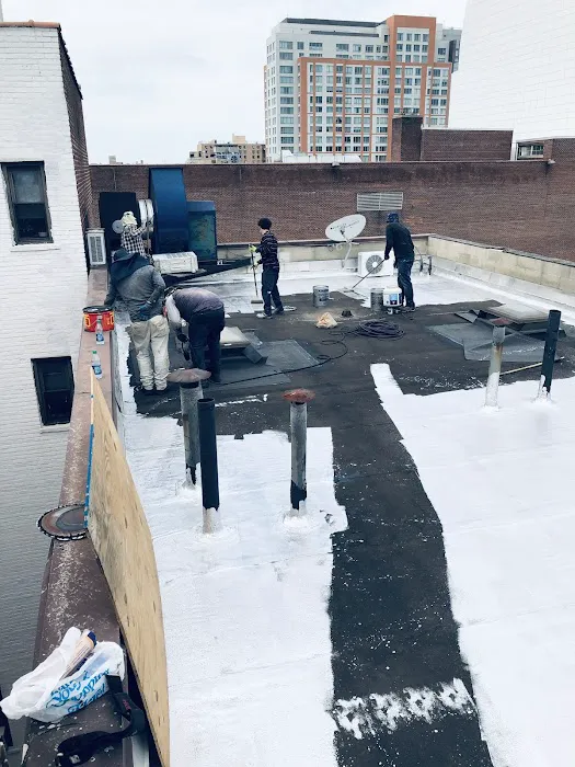 Exquisite Roofing Picture 4