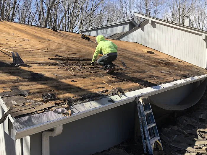 Exquisite Roofing Picture 8