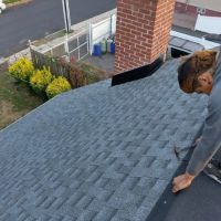 Donny's Home Improvement ico