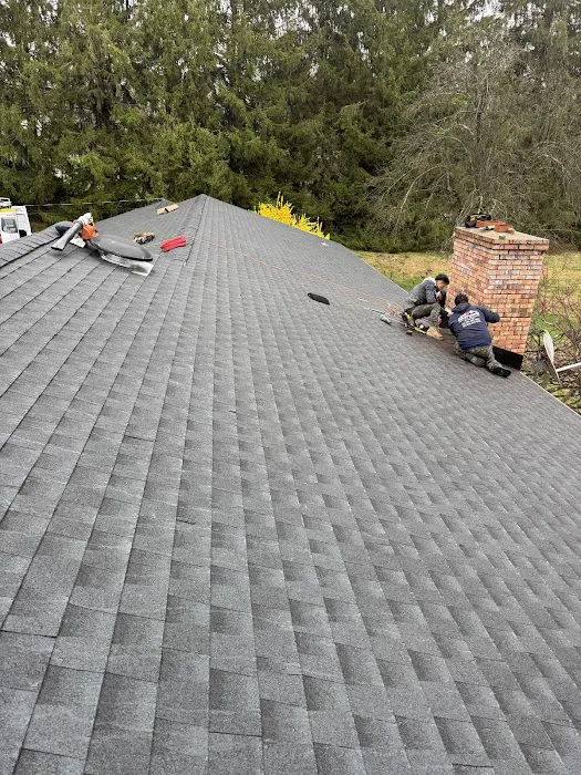 Raidex construction llc Picture 1