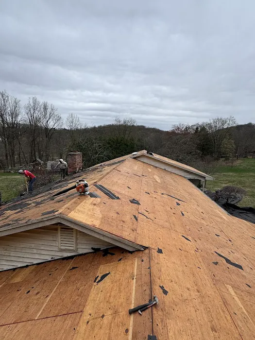 Raidex construction llc Picture 2