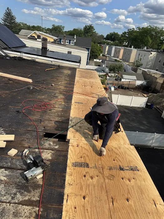 Raidex construction llc Picture 8