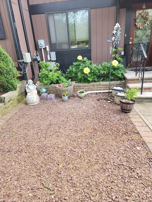 A & M Total Picture 5