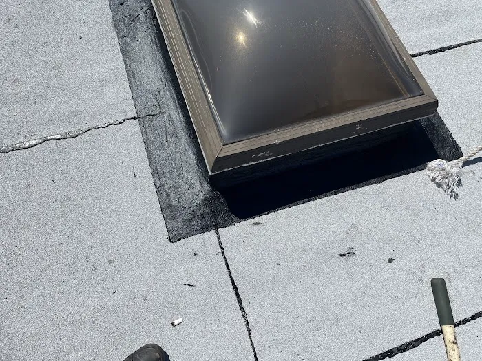 Penestia Roofing Picture 3