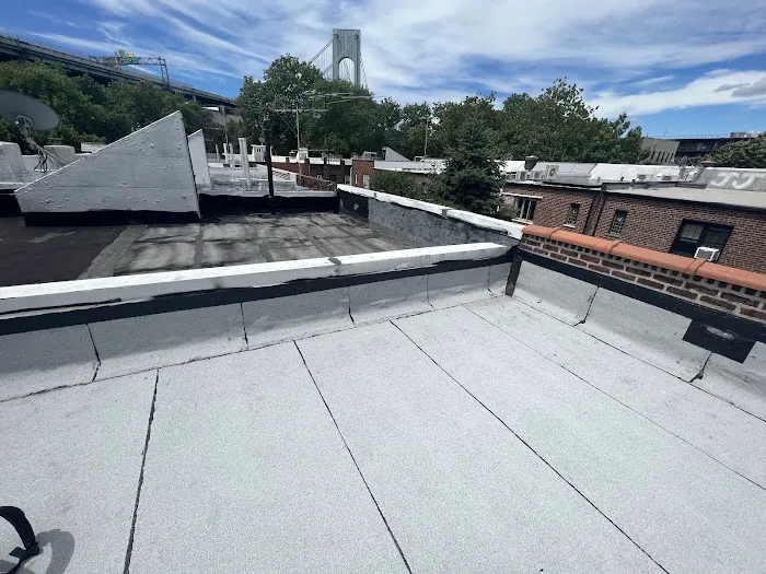 Penestia Roofing Picture 6