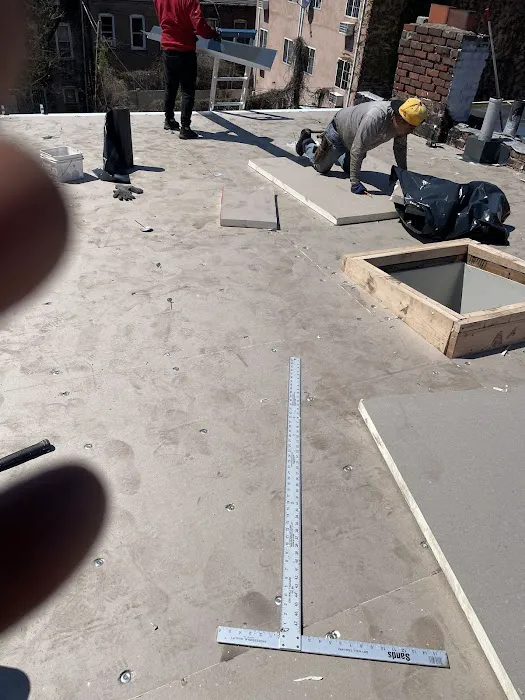 Penestia Roofing Picture 4