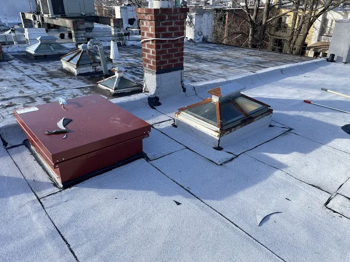 Penestia Roofing Picture 2