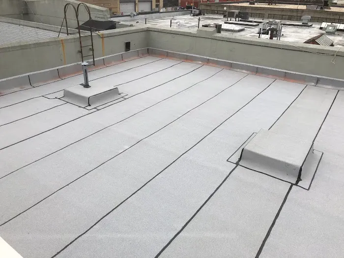 Penestia Roofing Picture 1