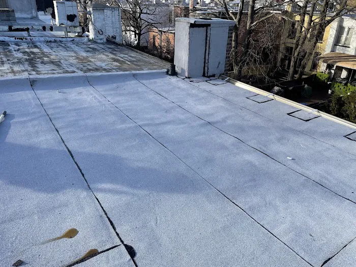 Penestia Roofing Picture 7