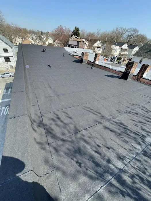 Penestia Roofing Picture 8