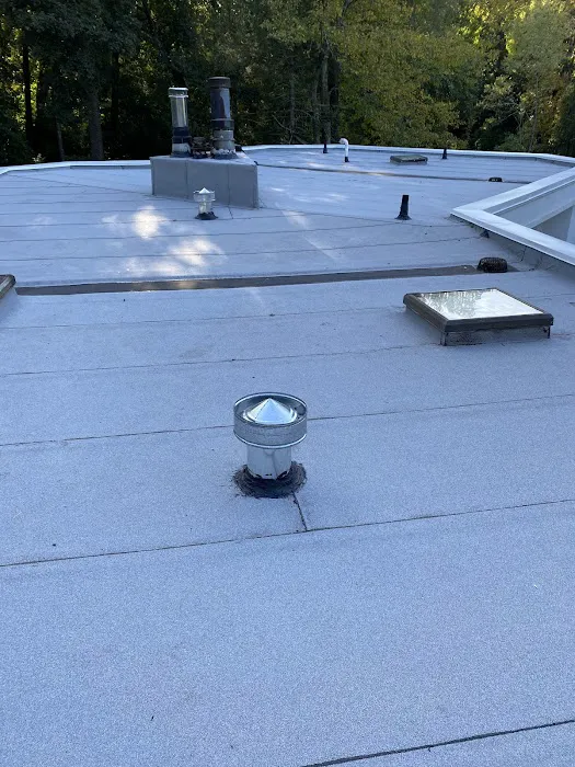 Mighty Roofing Picture 2