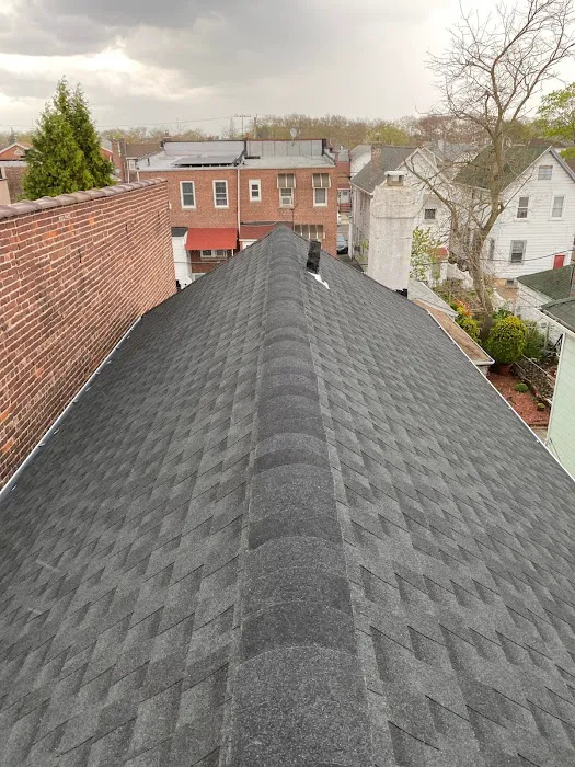 Mighty Roofing Picture 4