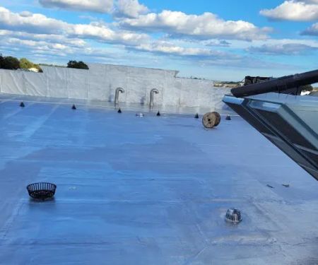 Mister Roofing And Chimney Services LLC