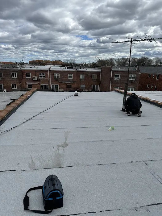 Daniel Parks Roofing & Gutters Picture 7