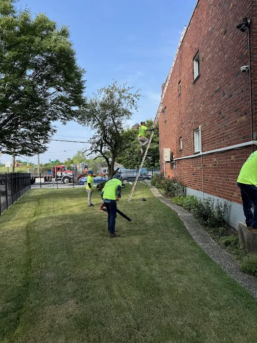 Power Roofing & Waterproofing Bronx Picture 10