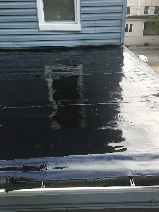 Zenith Roofing Picture 1