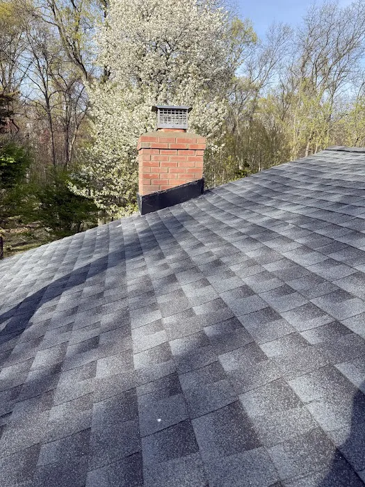 BLUENEST Roofing and Chimney Picture 5