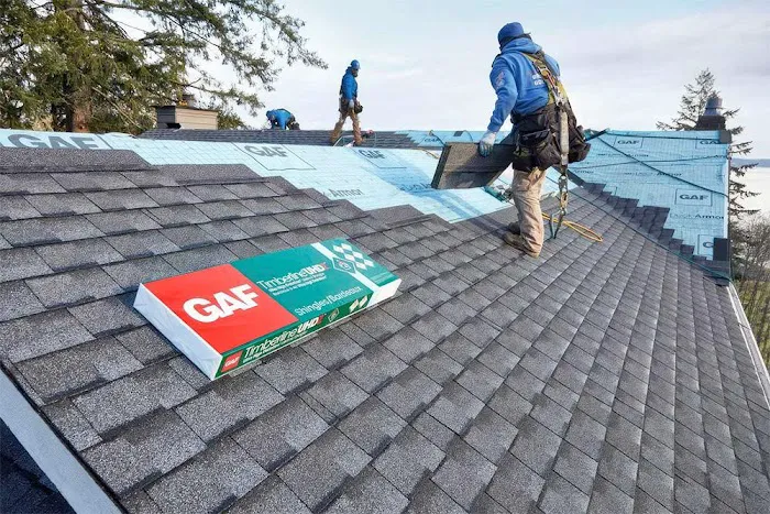SkyGuard Roofing Picture 1