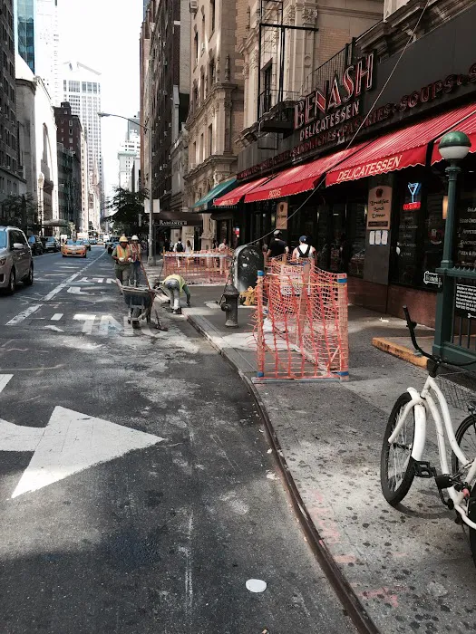 234 E 204Th Street Picture 8