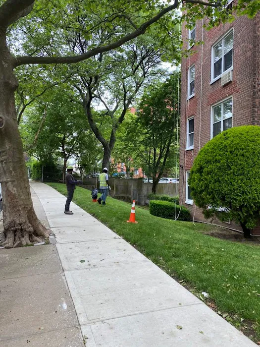 Areeba Inc. Picture 1