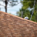 Top Pro Roofing Repair City of Orange