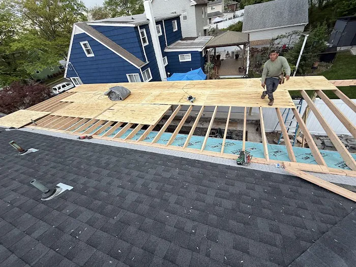 Bluesky Roofing Picture 1