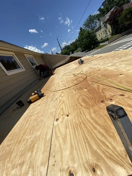 Bluesky Roofing Picture 2