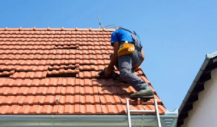 Crystal Real Construction Corp Picture 5