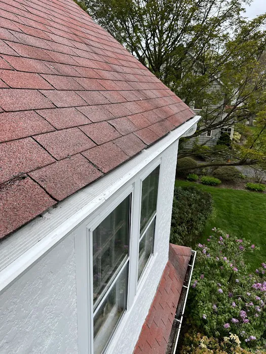 BINI & COMPANY Gutter Guard Picture 2