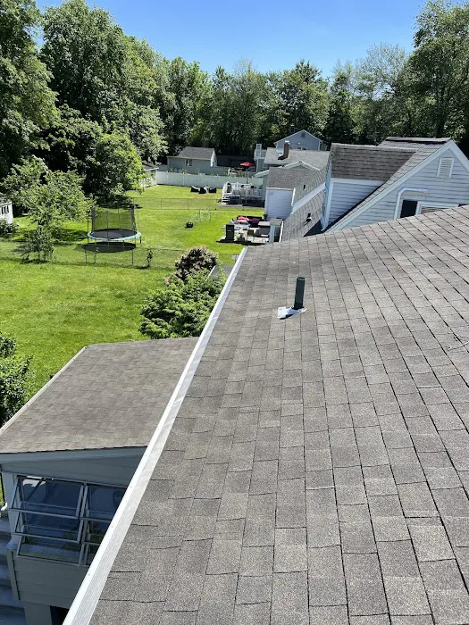 BINI & COMPANY Gutter Guard Picture 3