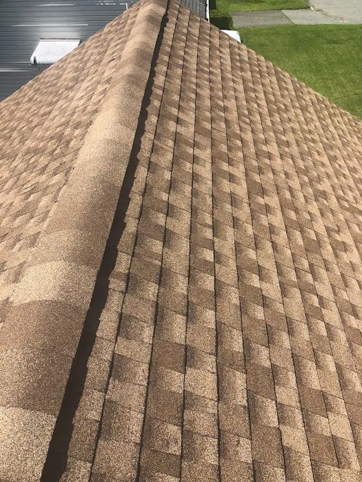 Curtis Golden Star Home Improvement Picture 1