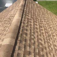 Curtis Golden Star Home Improvement ico