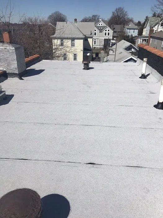 SummitSeal Roofing Picture 1