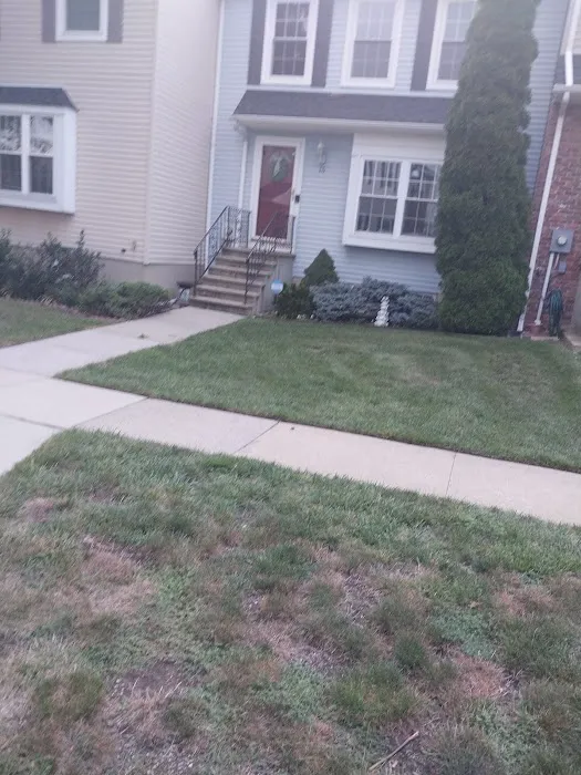 Zenith Roofing Picture 1