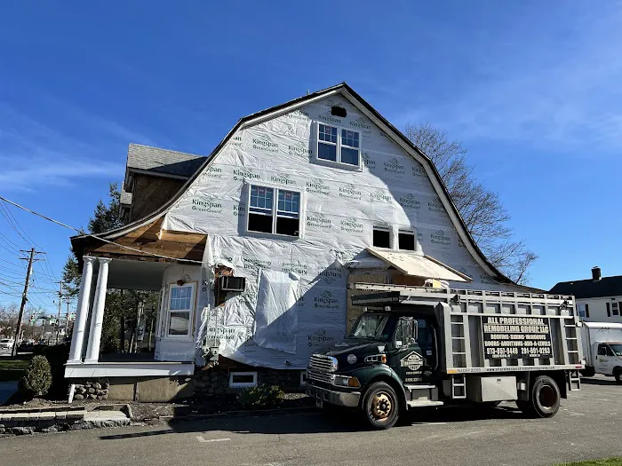 All Professional Remodeling Group, LLC Picture 8