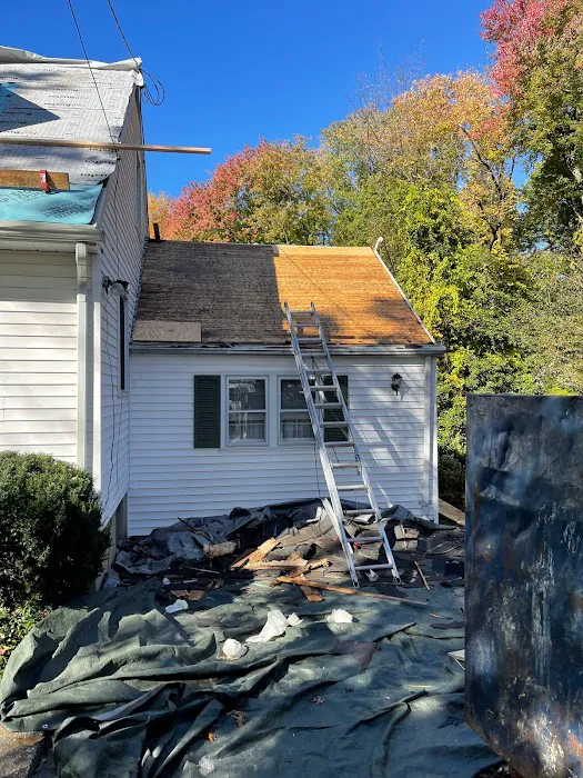 Alpha Construction NJ Picture 1