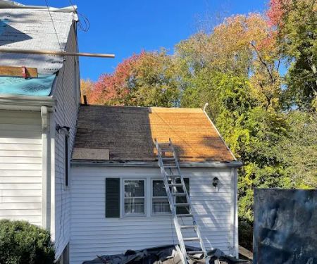 Alpha Construction NJ