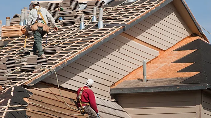 Leomar Roofing Picture 3