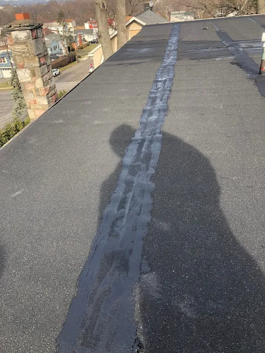 Leomar Roofing Picture 4