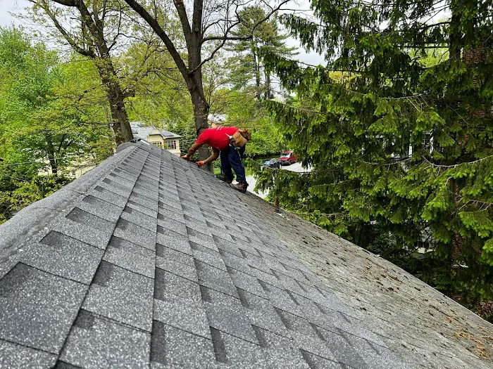 Diamond Roofing Picture 3