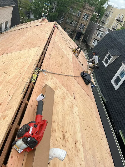 HighRise Roof Repair and Replacement Picture 4